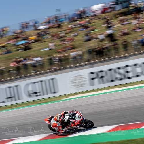 Michele Pirro 51 - Misano WSBK 2019