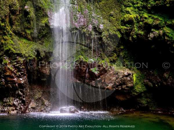 La natura - Madeira