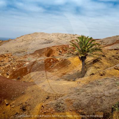 Il deserto di Punta San Lorenzo - Madeira